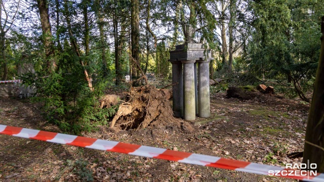 Fot. Robert Stachnik [Radio Szczecin] Cmentarz Centralny otwarty. Wciąż trwa liczenie strat [ZDJĘCIA]