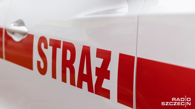 Straż pożarna poinformowała, że sylwestrowa noc była stosunkowo spokojna jeśli chodzi o liczbę interwencji.