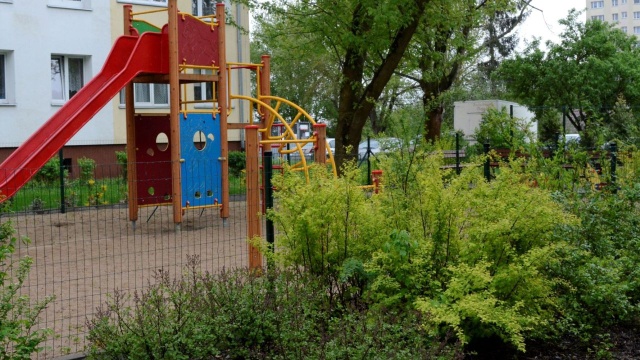 Nowe drzewa i krzewy, żywopłoty, trawniki, a do tego ławki, alejki, wiaty, pergole czy place zabaw - do 1 marca potrwa nabór wniosków do tegorocznej edycji programów Zielone Podwórka i Przedogródki Szczecina.