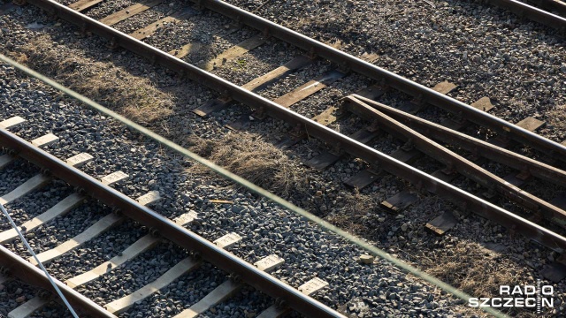 Ruch pociągów między Szczecinem Dąbiem a Goleniowem został wstrzymany. W wyniku wichury drzewo spadło na sieć trakcyjną.