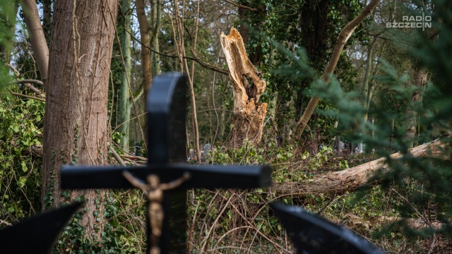 Po kolejnej wietrznej nocy szczecinianie sprawdzają groby swoich najbliższych. Kilka powalonych drzew i kilkadziesiąt połamanych gałęzi - to bilans niżu Dudley, który w czwartek przeszedł przez kraj.