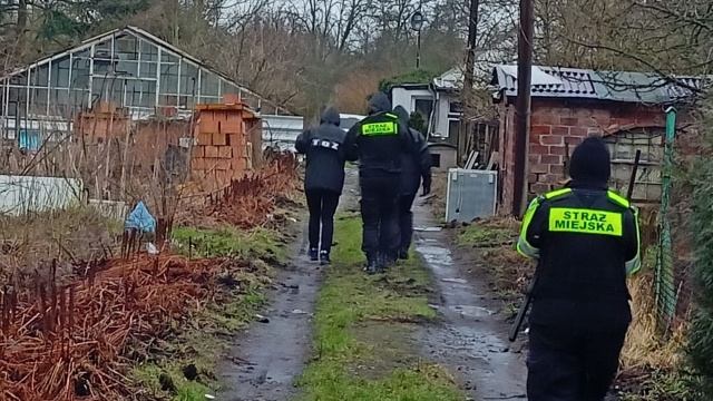 Podczas wspólnej interwencji z Towarzystwem Opieki nad Zwierzętami strażnicy miejscy odebrali zaniedbane psy. Czworonogi mieszkały na posesji w Dąbiu.