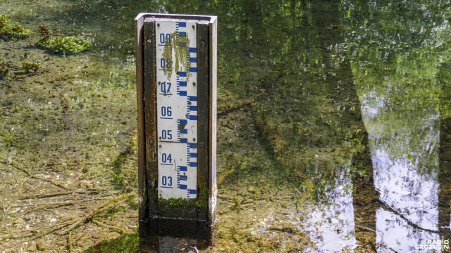 Niemal w całym kraju rośnie zagrożenie suszą. Hydrolodzy mówią już o tak zwanej suszy rolniczej. Oznacza to, że wilgotność gleby spadła do 50 procent.