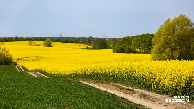 Wysokie ceny nawozów, a do tego susza - rolnicy ostrzegają przed ogromnymi podwyżkami cen żywności.