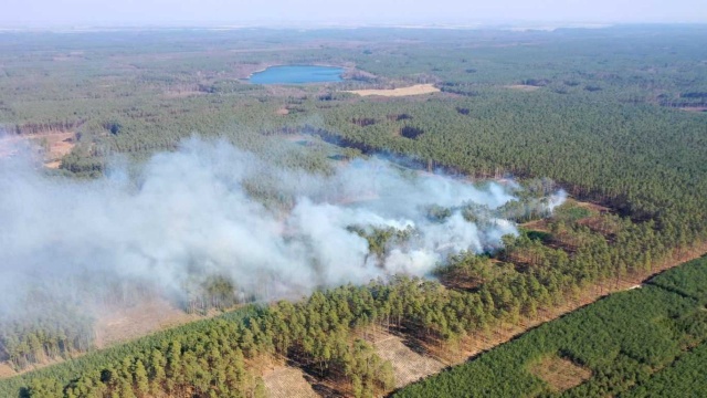 139 pożarów wybuchło od początku roku, do teraz, na terenie Regionalnej Dyrekcji Lasów Państwowych w Szczecinie. Doszło do nich na powierzchni prawie 32 hektarów.