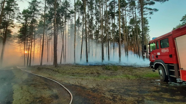 Najwyższy oraz średni stopień zagrożenia pożarowego utrzymuje się na terenie nadleśnictw Regionalnej Dyrekcji Lasów Państwowych w Szczecinie.