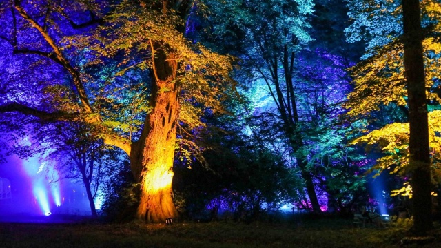 Artyści, inżynierowie, light designerzy - potrzebni. Miasto szuka współtwórców festiwalu Iluminacje 2022.