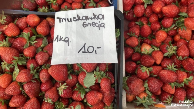 Już za 10 zł za kilogram można kupić truskawki na szczecińskich targowiskach. Spadają też ceny czereśni.