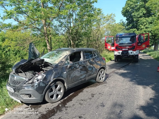 Kolizje samochodów z żubrami zdarzają się niestety dość często - mówi Maciej Tracz, wiceprezes Zachodniopomorskiego Towarzystwa Przyrodniczego, które zajmuje się wszystkimi żubrami w północno-zachodniej Polsce.