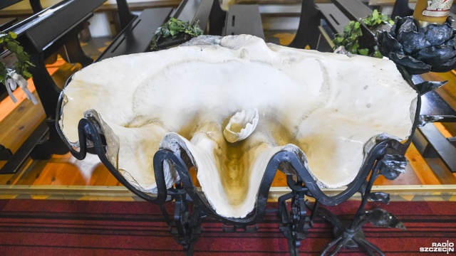 Służy jako chrzcielnica - chodzi o muszlę największego gatunku małża na świecie.