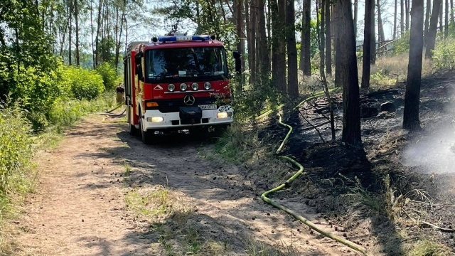 Pożar lasu nieopodal miejscowości Chojnica w Gminie Mirosławiec, tuż przy drodze krajowej nr 10.