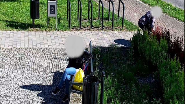 W Połczynie-Zdroju miejski monitoring nagrał jak 62-letnia kobieta wyrywała kwiaty przy placu Orła Białego.