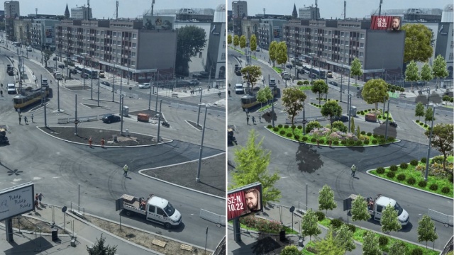 Drzewa dostały nóg i uciekły, to smutny widok - tak znany komik komentuje działania szczecińskich urzędników i proponuje, jak Plac Rodła w Szczecinie mógłby wyglądać.
