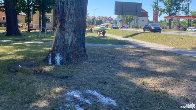 Mieszkańcy Chojny w szoku po tragedii, do której doszło w nocy. Dwóch młodych mężczyzn, poniosło śmierć w wyniku tragicznego wypadku, do którego doszło w centrum miasta.
