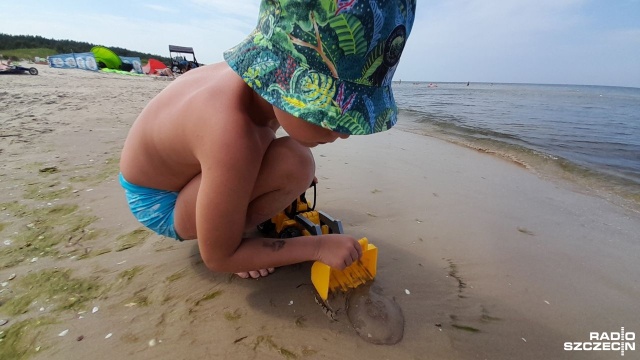 Poza ciepłym piaskiem - a w nim muszelkami - nad morzem można natknąć się, i to w całkiem dużej liczbie, na meduzy, które na świnoujskiej plaży dla jednych stały się atrakcją, dla innych przeszkodą w swobodnym pływaniu.
