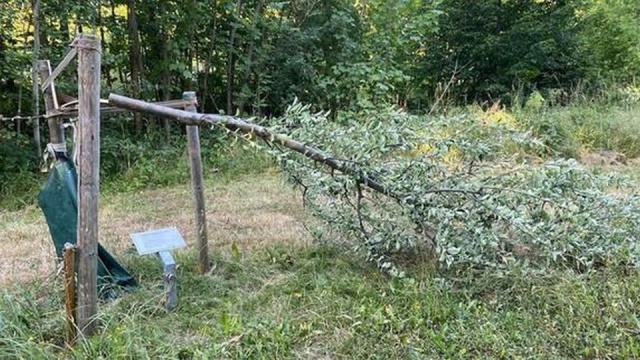 Dyrektor Fundacji Miejsc Pamięci Buchenwald i Mittelbau-Dora, Jens-Christian Wagner powiedział, że w Niemczech nasilają się ataki na miejsca upamiętniające ofiary nazizmu i przypominające o zbrodniach tamtego systemu.