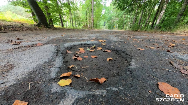 Prawie dwa miliony złotych kosztować będzie przebudowa drogi z Trzebieży do Myśliborza Wielkiego. Umowa na dofinansowanie tej inwestycji podpisana zostanie we wtorek w Zalesiu.
