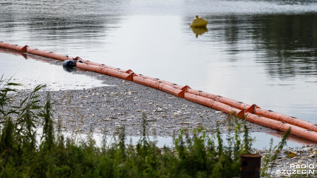 Wiceminister infrastruktury oraz pełnomocnik rządu ds. gospodarki wodą oraz inwestycji w gospodarce morskiej i wodnej Marek Gróbarczyk powiedział, że prace związane z odbudową Odry powinny być prowadzone w oparciu o wiedzę naukową, a przede wszystkim wytyczne uzyskane ze strony zaplecza naukowego.