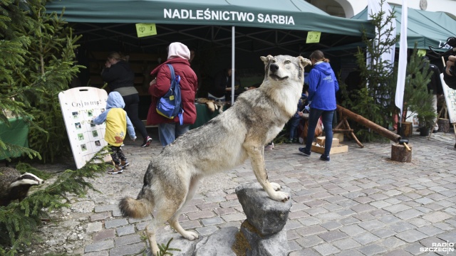Pierwsze Dni Ekologii na Zamku Książąt Pomorskich w Szczecinie za nami. Organizatorem imprezy był Polski Związek Łowiecki.