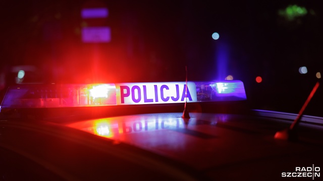 Od piątku w Polsce doszło do 247 wypadków drogowych - poinformował w TVP Info podkomisarz Mariusz Kurczyk z Komendy Głównej Policji.