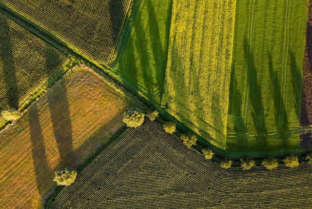 Księga wieczysta działki to dokument, który określa wszystkie najważniejsze informacje na jej temat. Co więcej, są one wiążące z punktu widzenia polskiego prawa. Co dokładnie znajduje się w księdze wieczystej W jaki sposób uzyskać dostęp do jej treści Odpowiedzi na te i inne pytania znajdują się w niniejszym artykule.