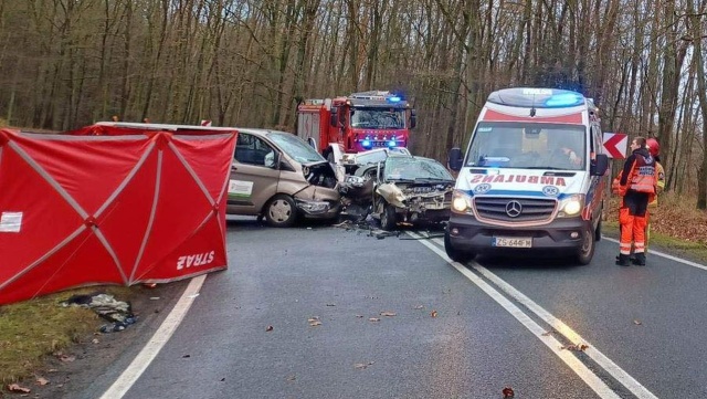 Jedna osoba zginęła w wypadku na drodze krajowej nr 26. Do zdarzenia doszło na wysokości miejscowości Czartoryja, na trasie między Chojną a Trzcińskiem Zdrój.