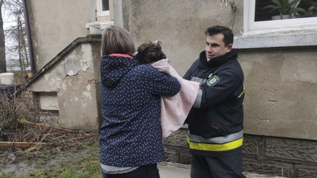 Pies wpadł do studni, uratowali go strażacy. To poranna interwencja druhów z OSP Karlino.