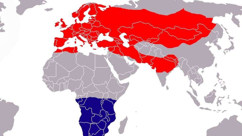 Zasięg występowania jerzyków, kolor czerwony – obszar lęgowy, kolor niebieski – obszar zimowania. Źródło domena publiczna, wikipedia.org