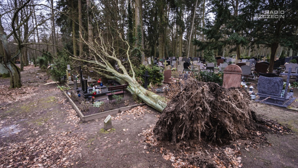 Fot. Mateusz Papke [Radio Szczecin/Archiwum]