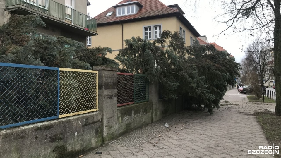 Szczecin. Fot. Joanna Gralka [Radio Szczecin]