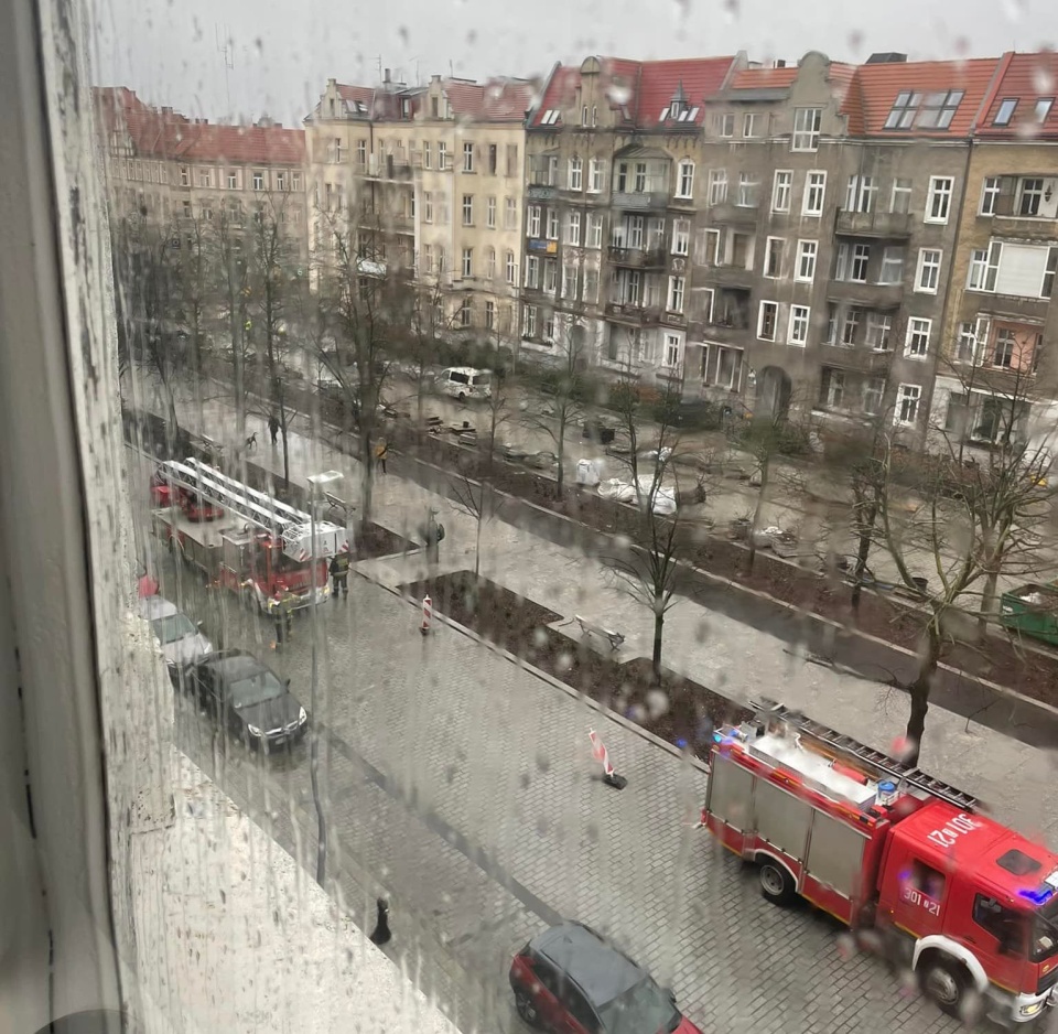 Szczecin. źródło: Facebook Grupa Suszą! Szczecin