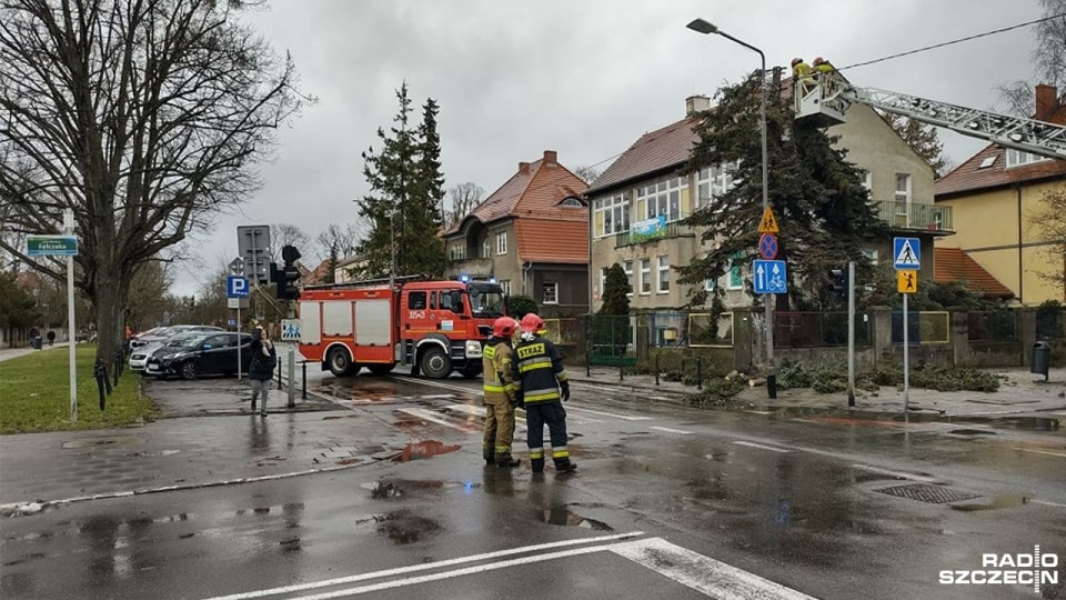 Fot. Jarosław Gowin [Radio Szczecin]
