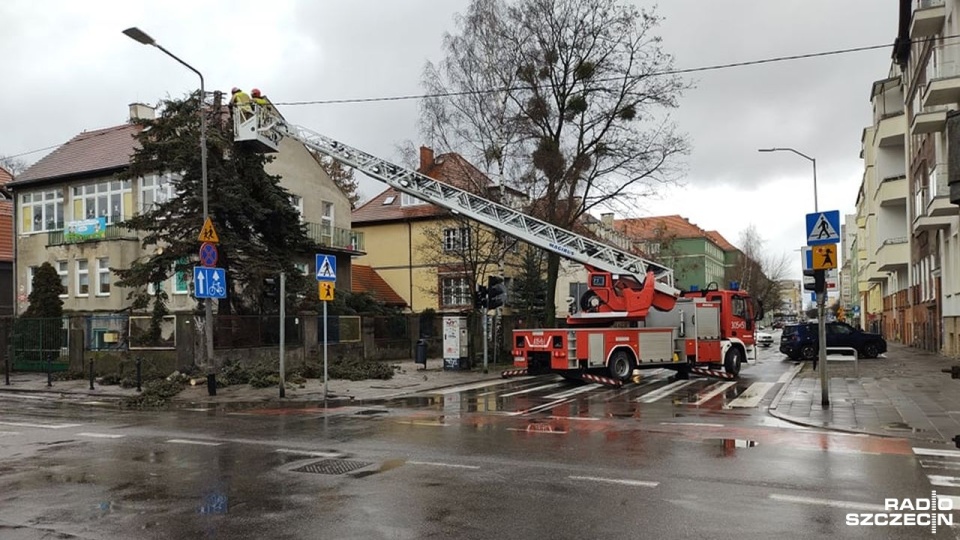 Fot. Jarosław Gowin [Radio Szczecin]