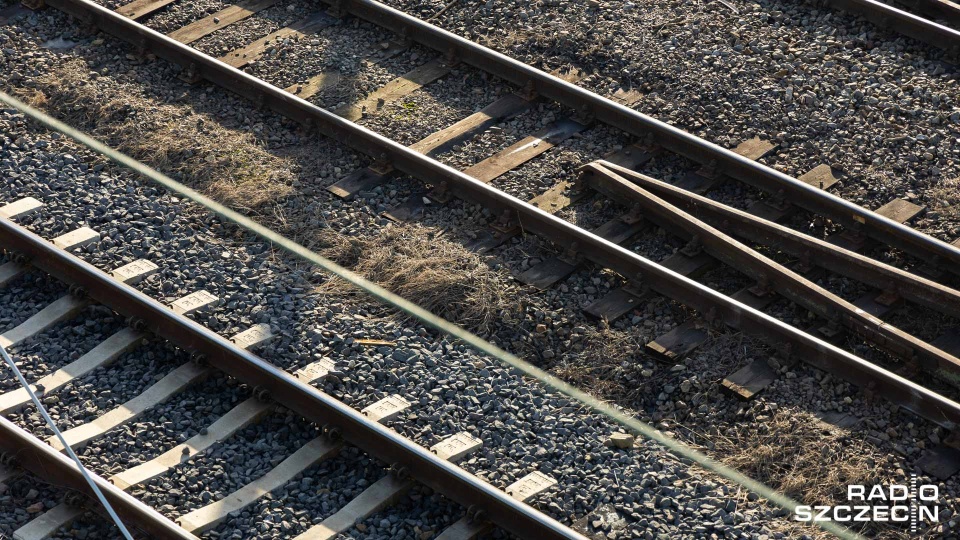 Fot. Robert Stachnik [Radio Szczecin]