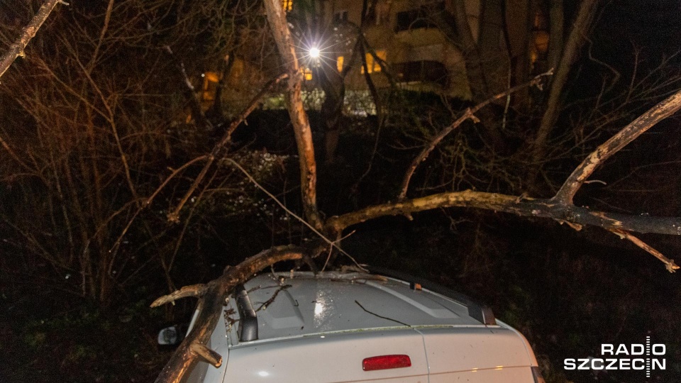 Niebezpiecznie także na ulicy Kadłubka przy parkingu sklepu Netto. Tam chwilę po godz. 21 drzewo runęło na samochód. Fot. Robert Stachnik [Radio Szczecin]