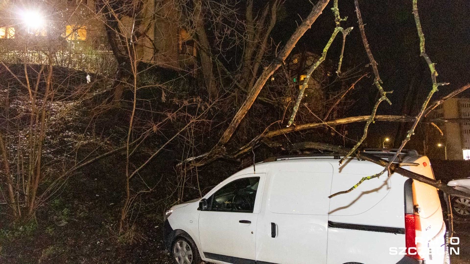 Niebezpiecznie także na ulicy Kadłubka przy parkingu sklepu Netto. Tam chwilę po godz. 21 drzewo runęło na samochód. Fot. Robert Stachnik [Radio Szczecin]
