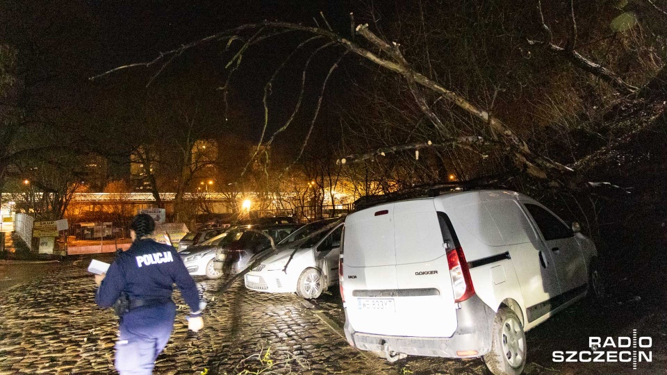 Niebezpiecznie także na ulicy Kadłubka przy parkingu sklepu Netto. Tam chwilę po godz. 21 drzewo runęło na samochód. Fot. Robert Stachnik [Radio Szczecin]