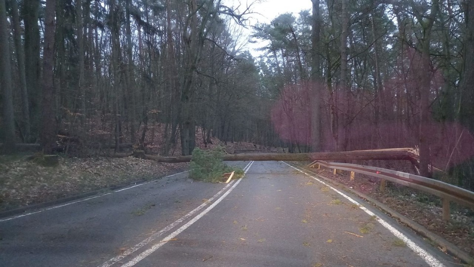 Fot. Facebook Grupa Suszą! Szczecin