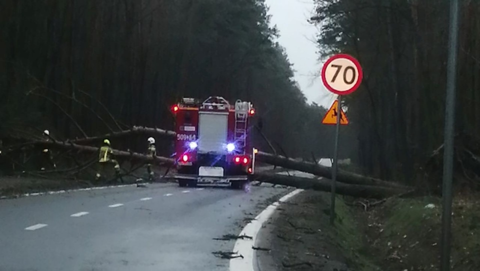 Fot. Facebook Grupa Suszą! Szczecin