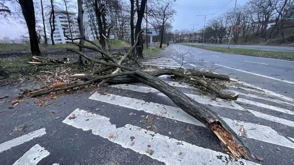 Fot. Robert Stachnik [Radio Szczecin]