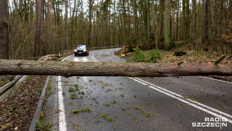 Fot. Robert Stachnik [Radio Szczecin]