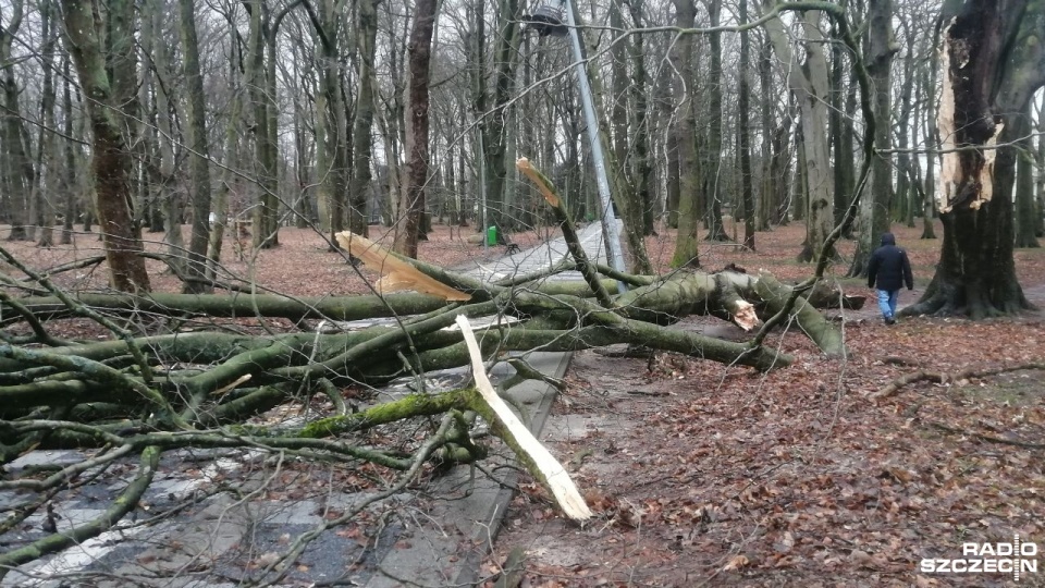 Fot. Przemysław Polanin [Radio Szczecin]