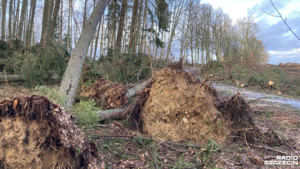 Fot. Tomasz Duklanowski [Radio Szczecin]