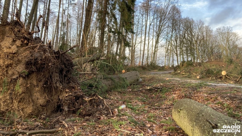Fot. Tomasz Duklanowski [Radio Szczecin]