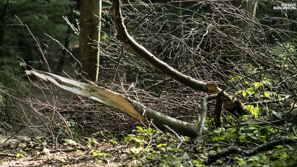Fot. Wojciech Ochrymiuk [Radio Szczecin]