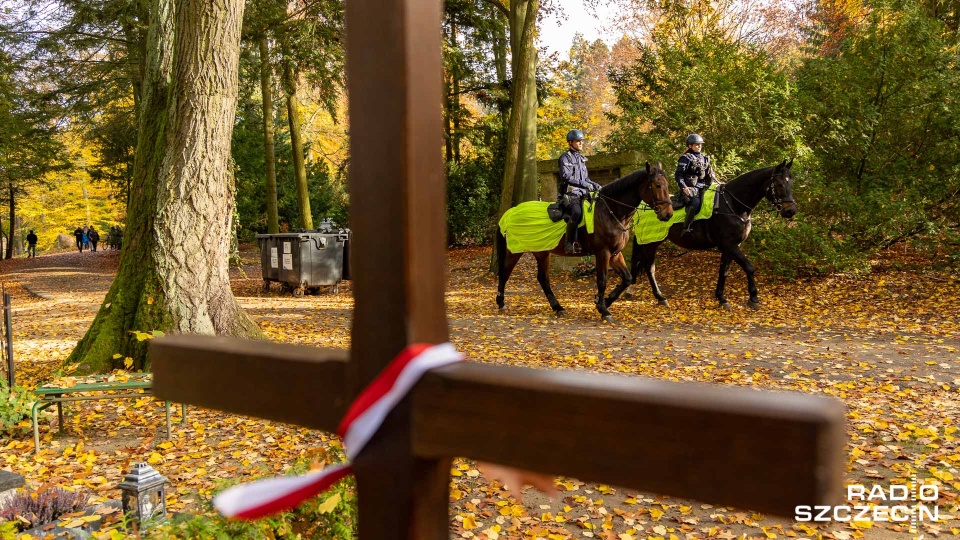 Konie na cmentarzu służbę pełnić będą do 2. listopada. Fot. Robert Stachnik [Radio Szczecin]