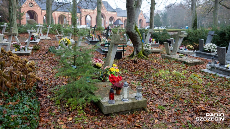 Decyzję o usunięciu grobu może podjąć prezes Związku Kombatantów RP Henryk Krudos. Fot. Robert Stachnik [Radio Szczecin/Archwium]