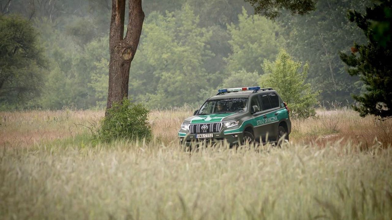 W poniedziałek 102 osoby próbowały nielegalnie przedostać się z Białorusi do Polski.