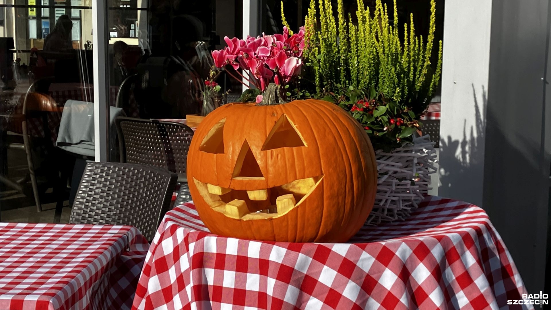 Halloween, obchodzony jest dzisiaj w wielu częściach świata, ale najbardziej uroczyście w Stanach Zjednoczonych. To tego dnia dorośli i dzieci przebierają się najczęściej za postaci, które związane są ze śmiercią, czarami lub szeroko rozumianą popkulturą.