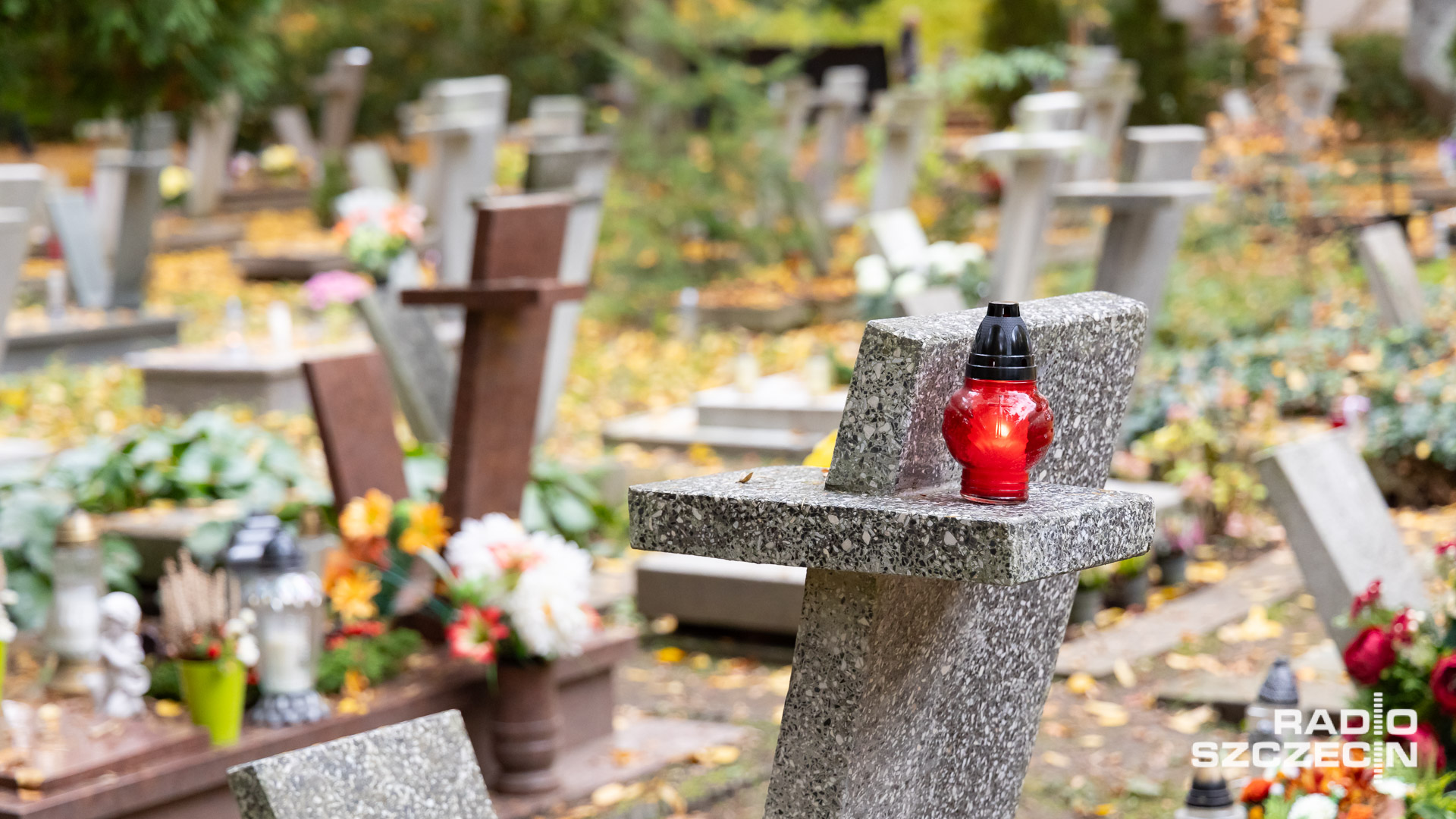 Z grobów znikają kwiaty, znicze i wieńce. Na Cmentarzu Centralnym w Szczecinie zaczęły pojawiać się na drzewach kartki z ostrzeżeniami o kradzieżach.
